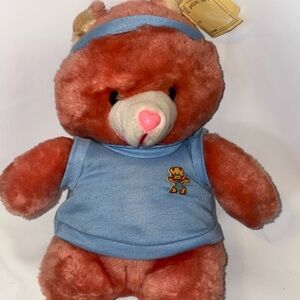New 12 inch vintage pink teddy bear by Dandee Carebear style